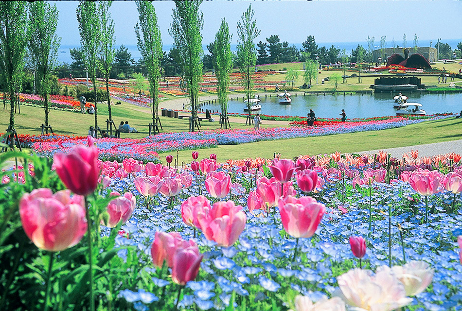 淡路島国営明石海峡公園