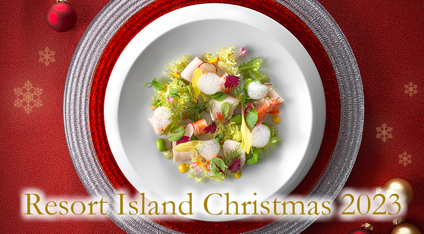 クリスマス　ランチ&ディナー