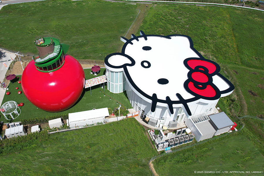 上空写真