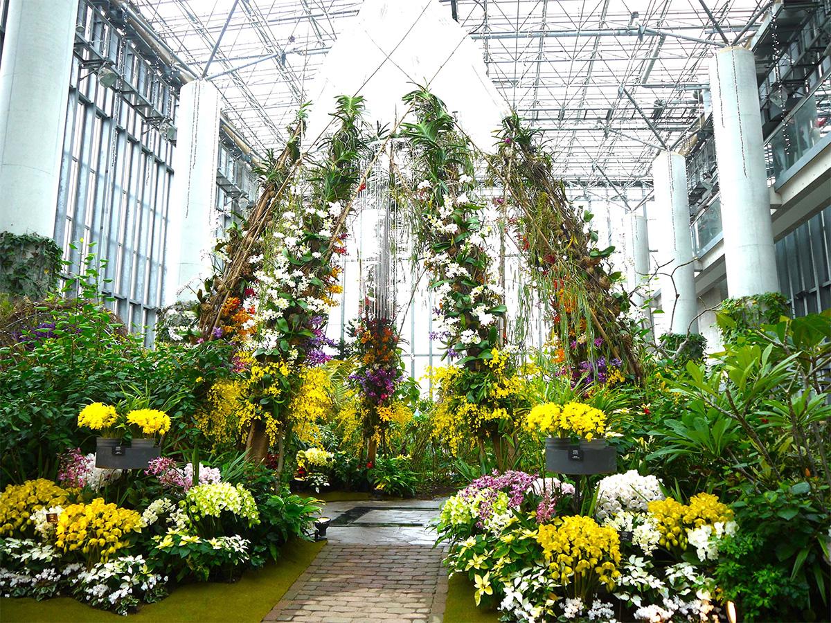 百花繚蘭オーキッドフェスティバルステイ