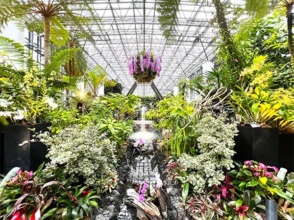親子で楽しむ植物観察
あわじグリーン館入館券付きサマーステイ